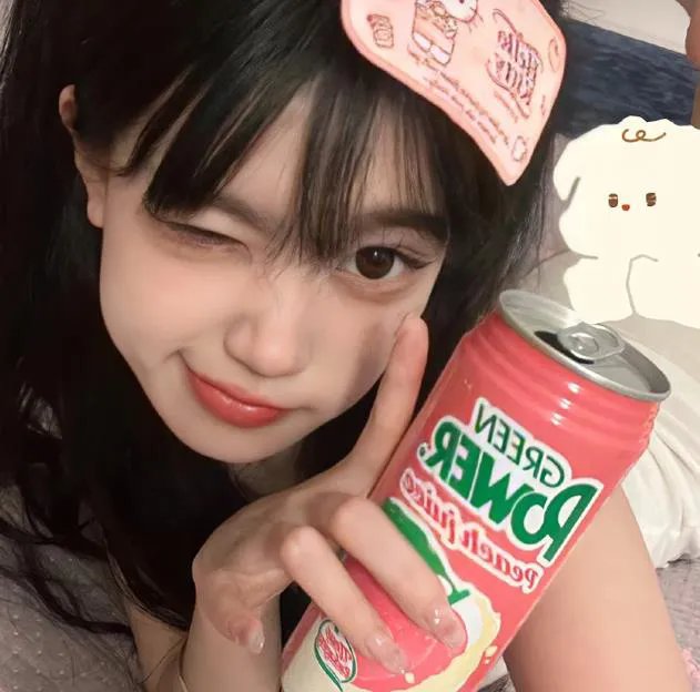 哈利波特：凤凰会的密令